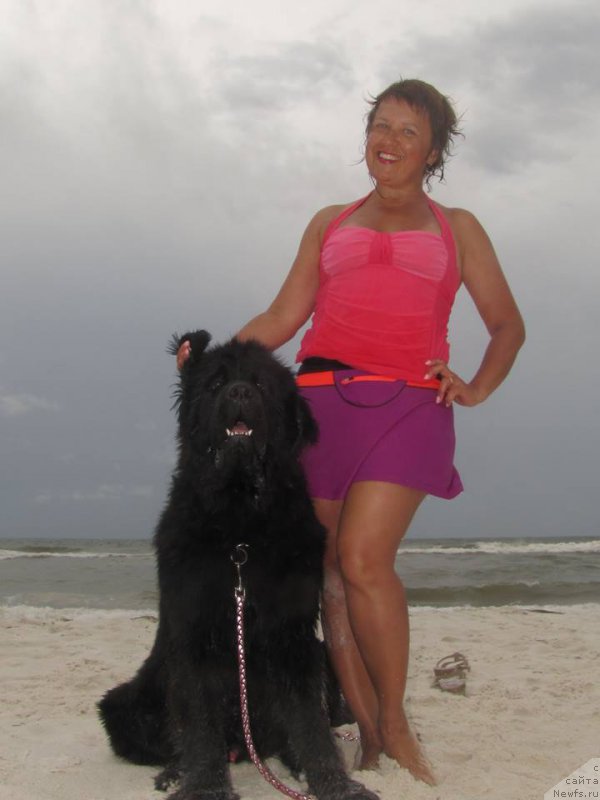 Фотография № 159684