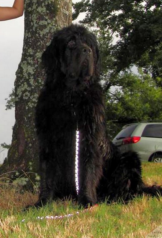 Фотография № 159685