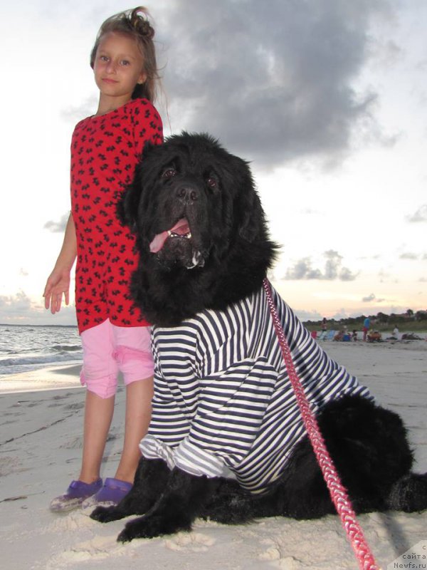 Фотография № 159686