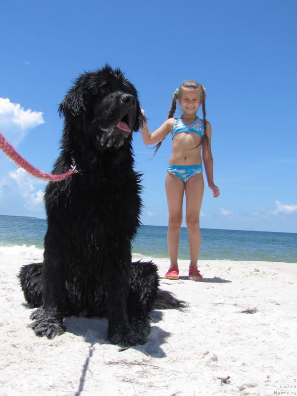 Фотография № 159687