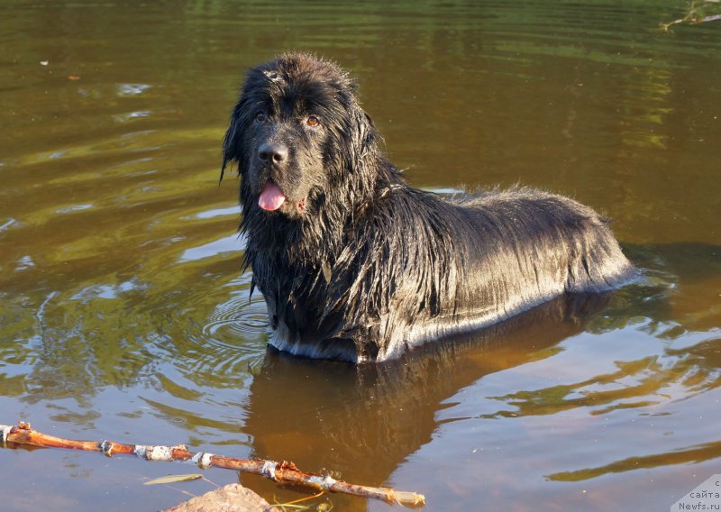 Фотография № 159690