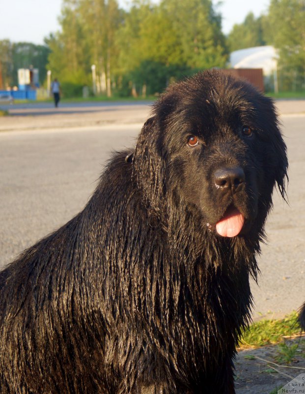 Фотография № 159691