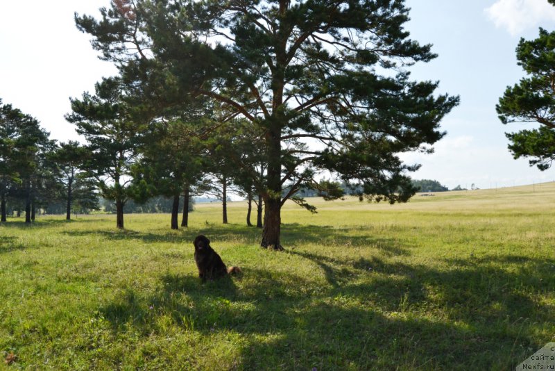 Фотография № 159710