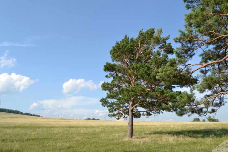 Фотография № 159711