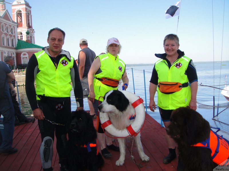 Фото: ньюфаундленд Очаровашка с Берега Дона (Ocharovashka s Berega Dona), Инна Зимина, Галина Артюшина