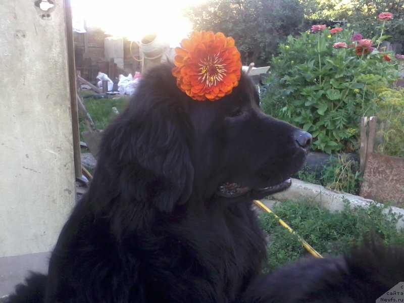 Фотография № 159758