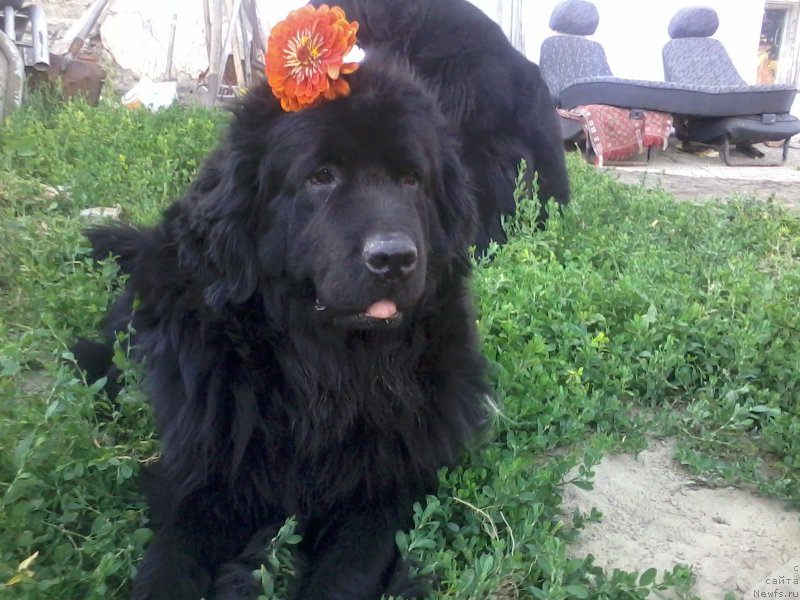 Фотография № 159760