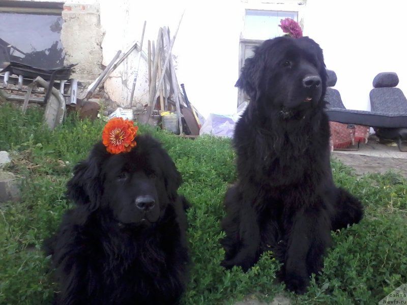 Фотография № 159761