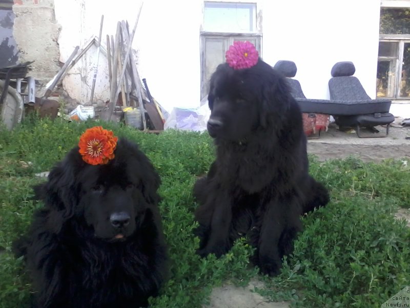 Фотография № 159763