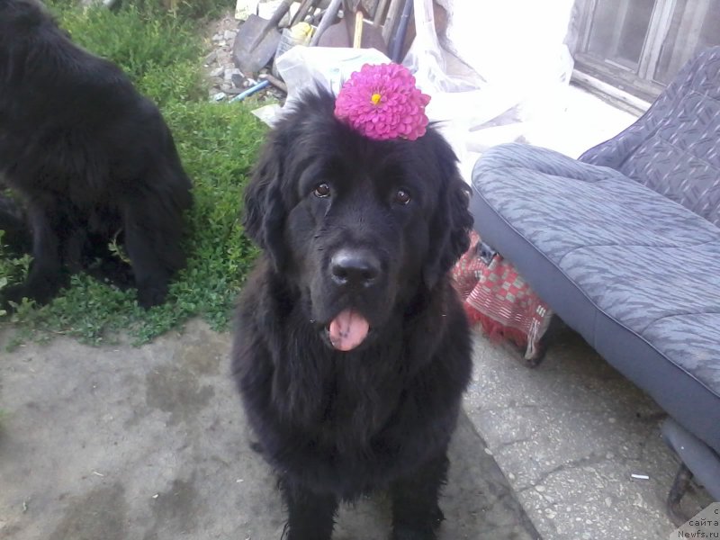 Фотография № 159769