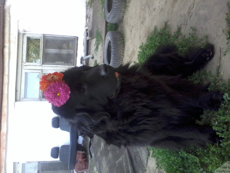 Фотография № 159773