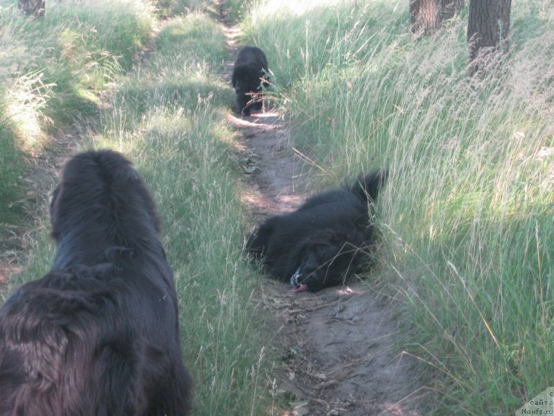 Фотография № 159785