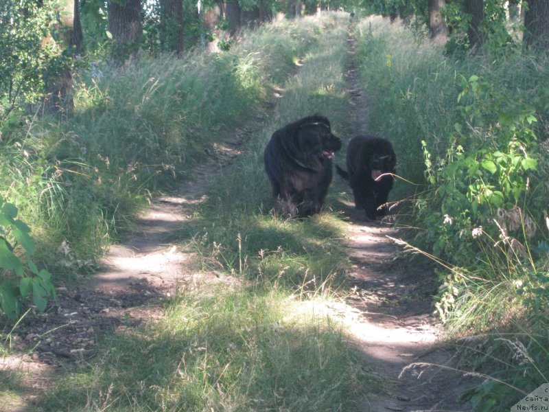 Фотография № 159786