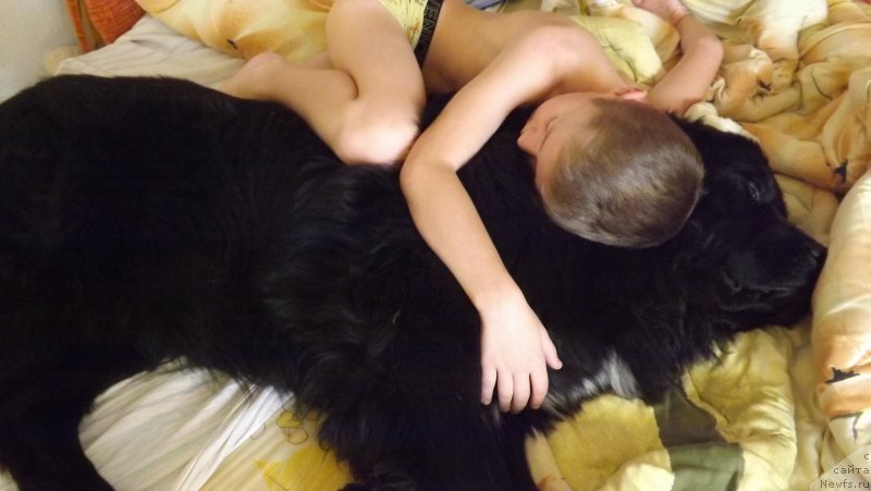 Фотография № 159787