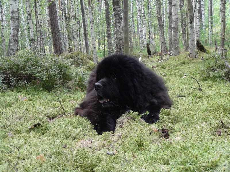 Фотография № 159796