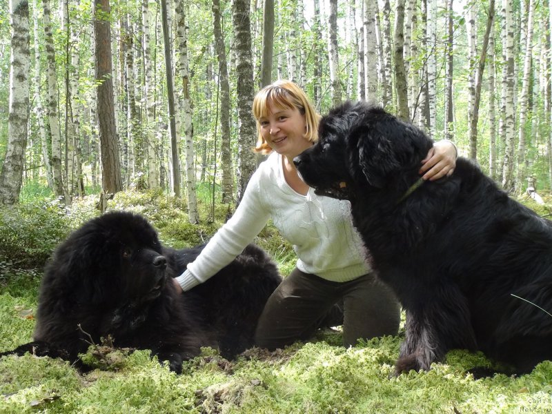 Фотография № 159797