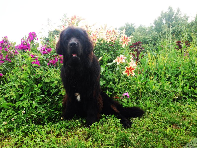 Фотография № 159802