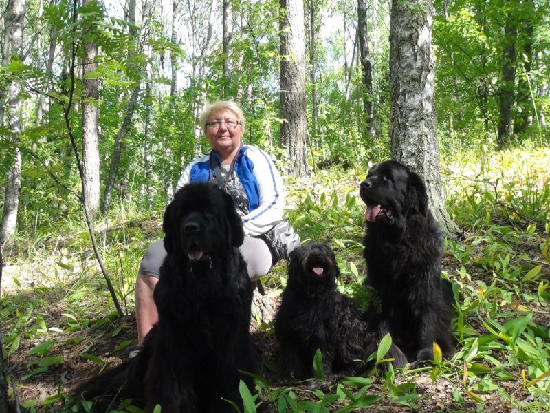 Фото: ньюфаундленд Акин Соул София, ньюфаундленд Лесная Сказка Лунная Соната, Татьяна Прусова