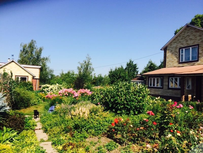 Фотография № 159808