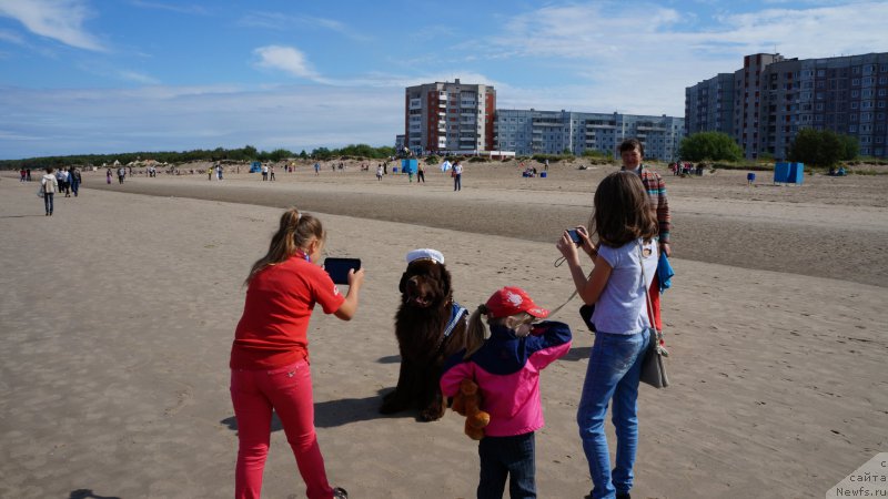 Фотография № 159821