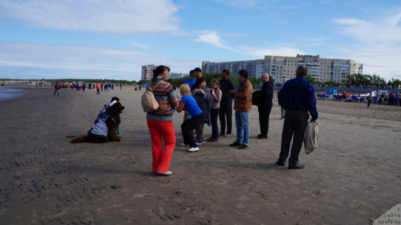 Фотография № 159822