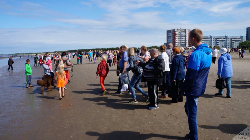 Фотография № 159823