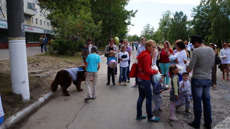 Фотография № 159825