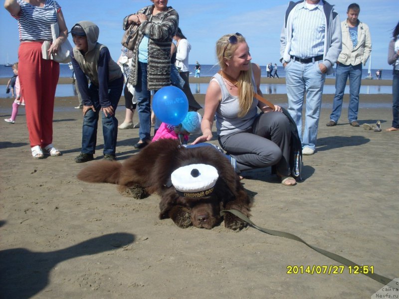 Фотография № 159826