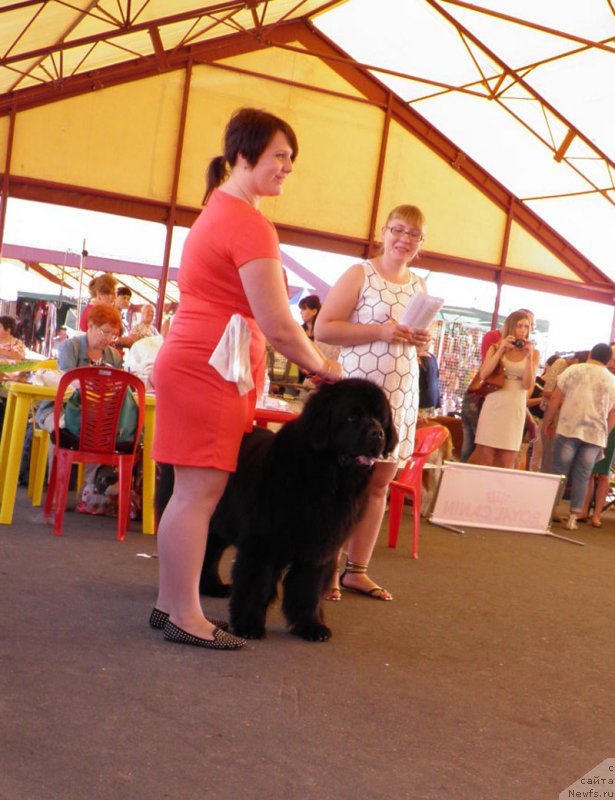 Фотография № 159829