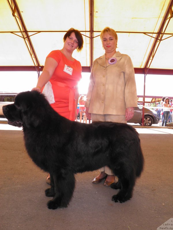 Фотография № 159830