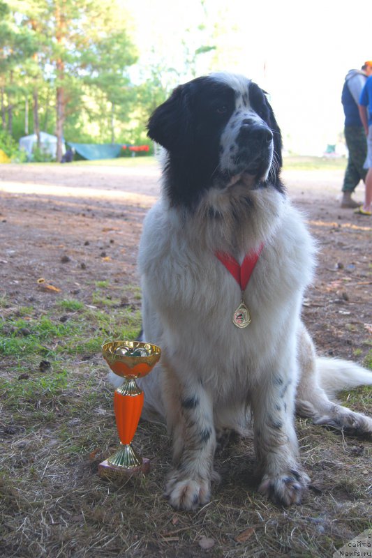 Фотография № 159835