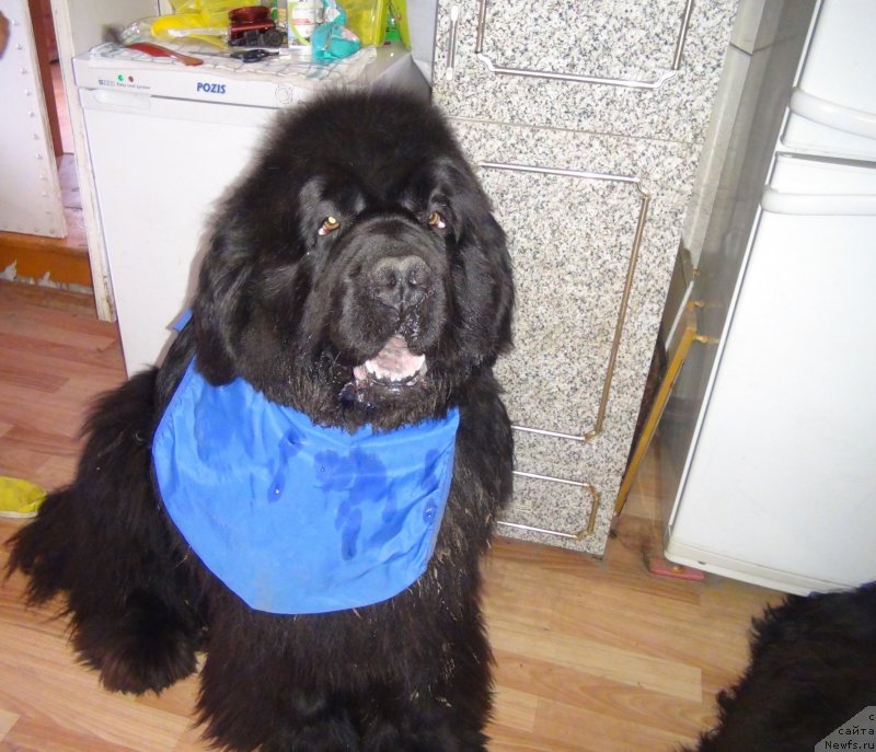 Фотография № 159858