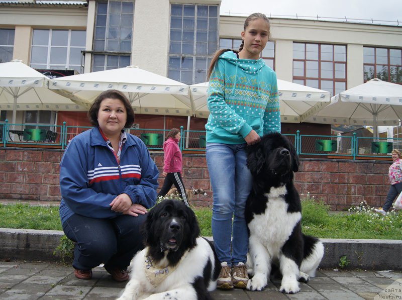 Фото: ньюфаундленд Супер Бизон Куба, ньюфаундленд Супер Бизон Зима