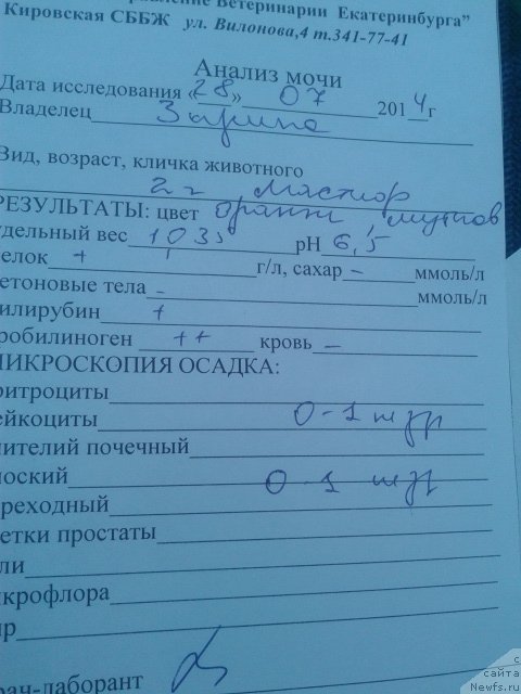 Фотография № 159885