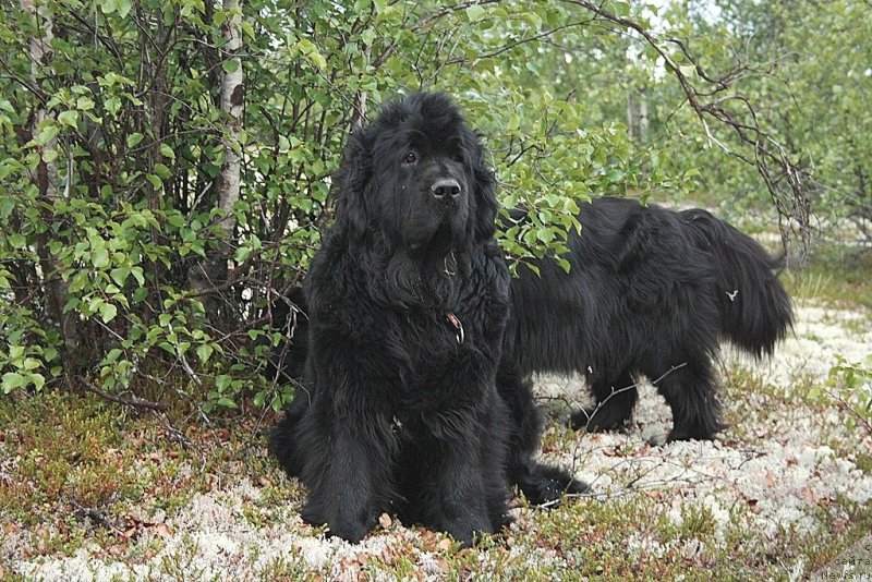 Фотография № 159917