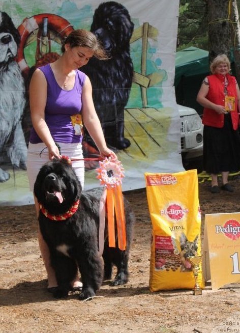 Фотография № 159921