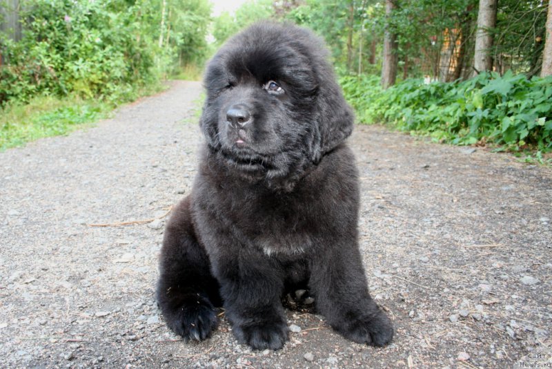 Фотография № 159938