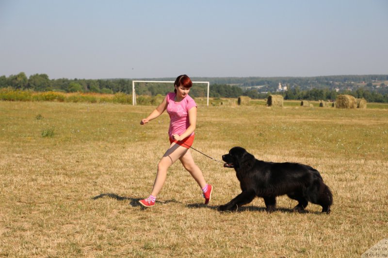 Фотография № 159952