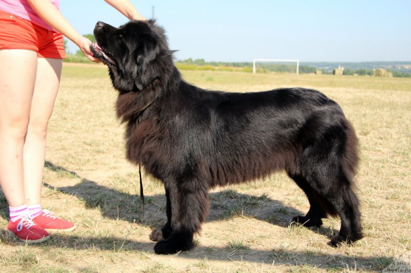 Фотография № 159953