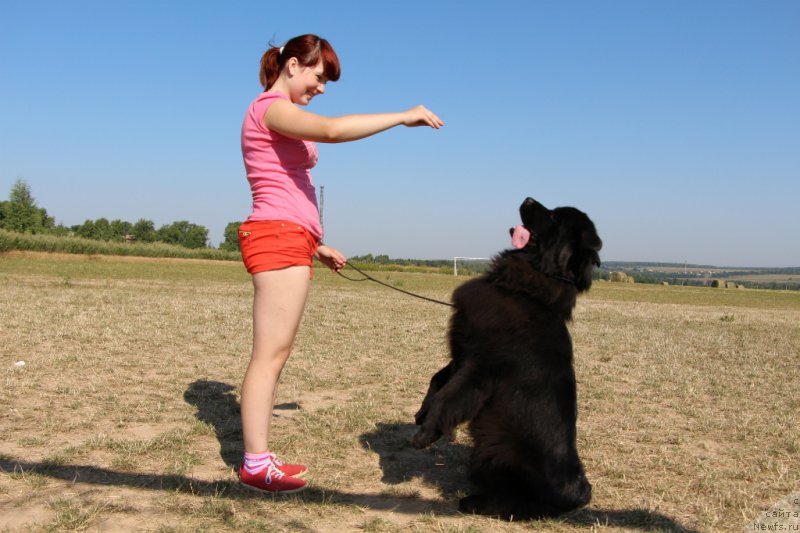 Фотография № 159958