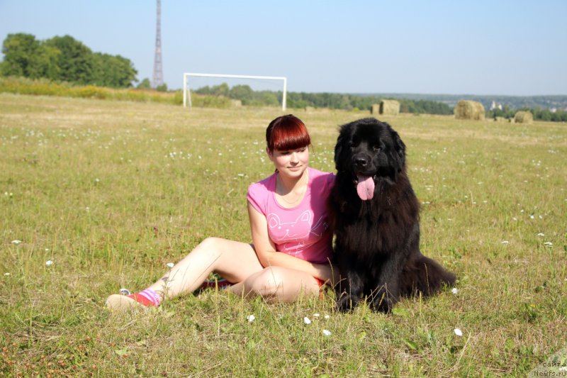 Фотография № 159960