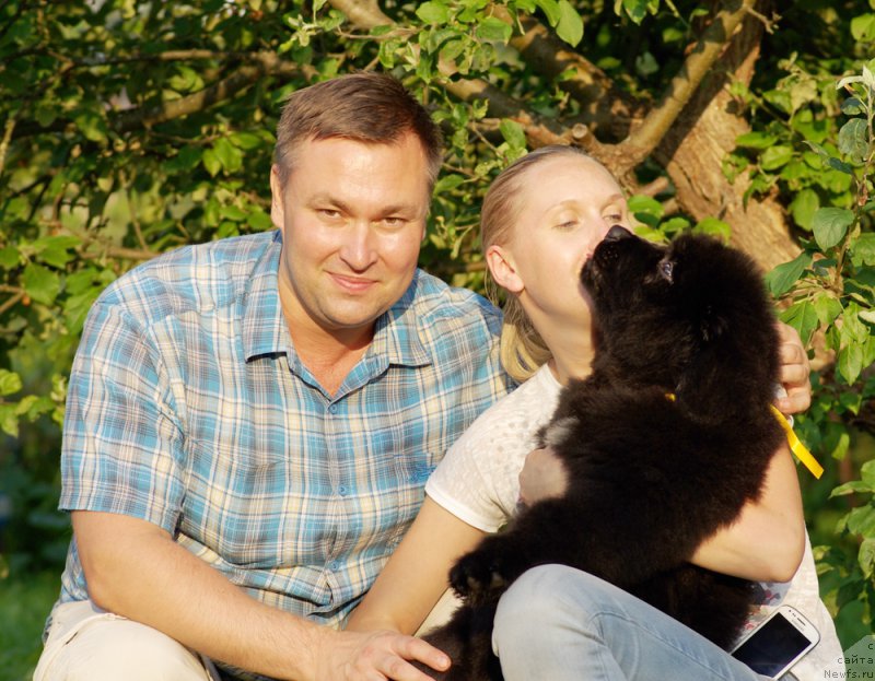 Фотография № 159984