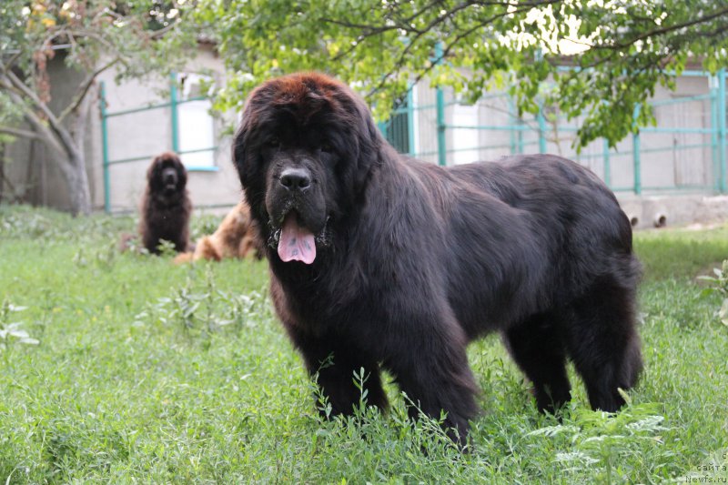 Фотография № 159988