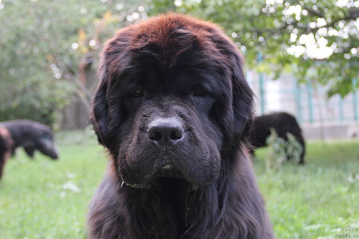 Фотография № 159991