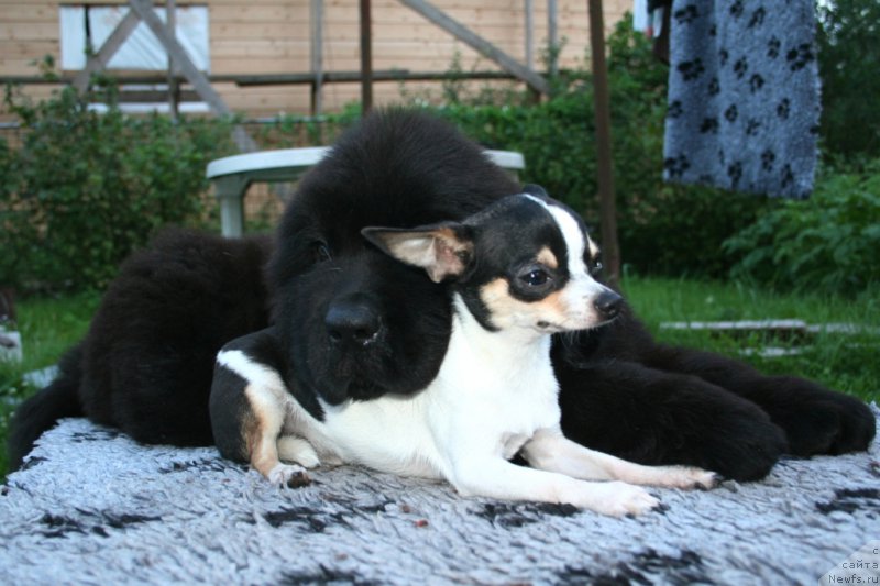 Фотография № 159992