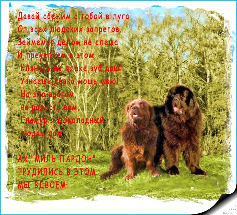 Фотография № 160000