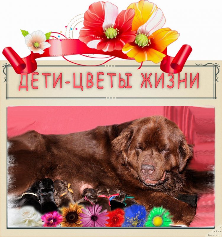 Фотография № 160002