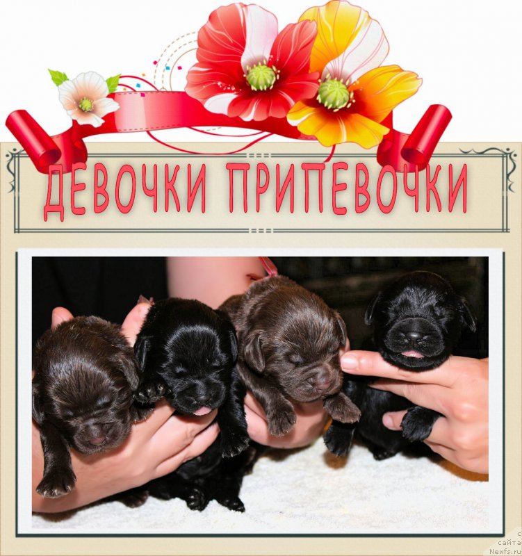 Фотография № 160004