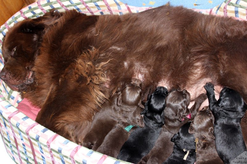 Фотография № 160010