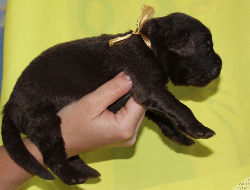 Фотография № 160014